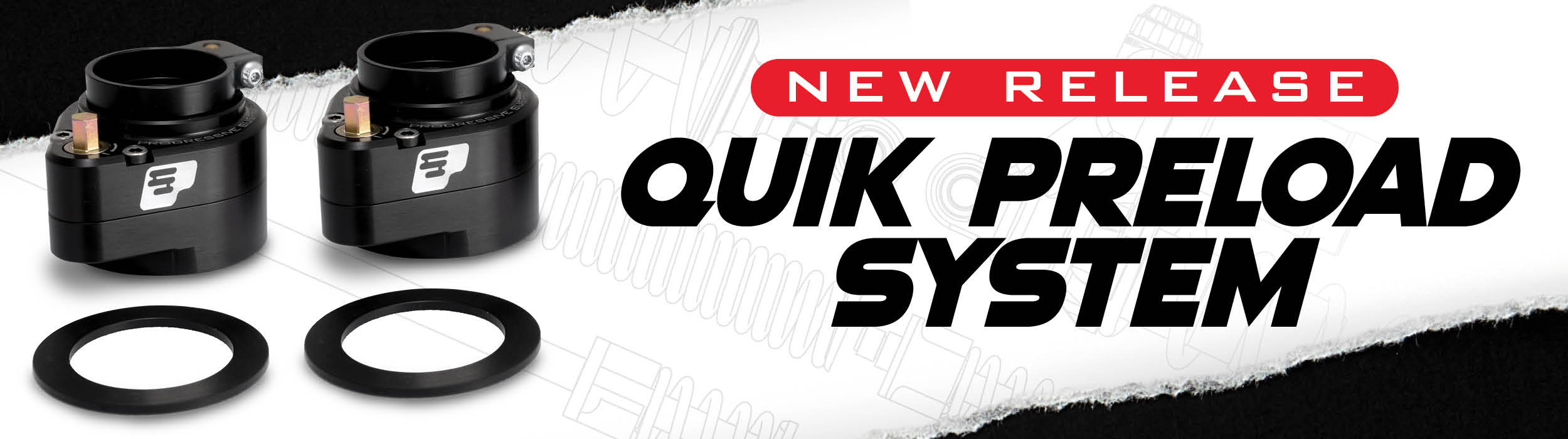 NPL - QPS System